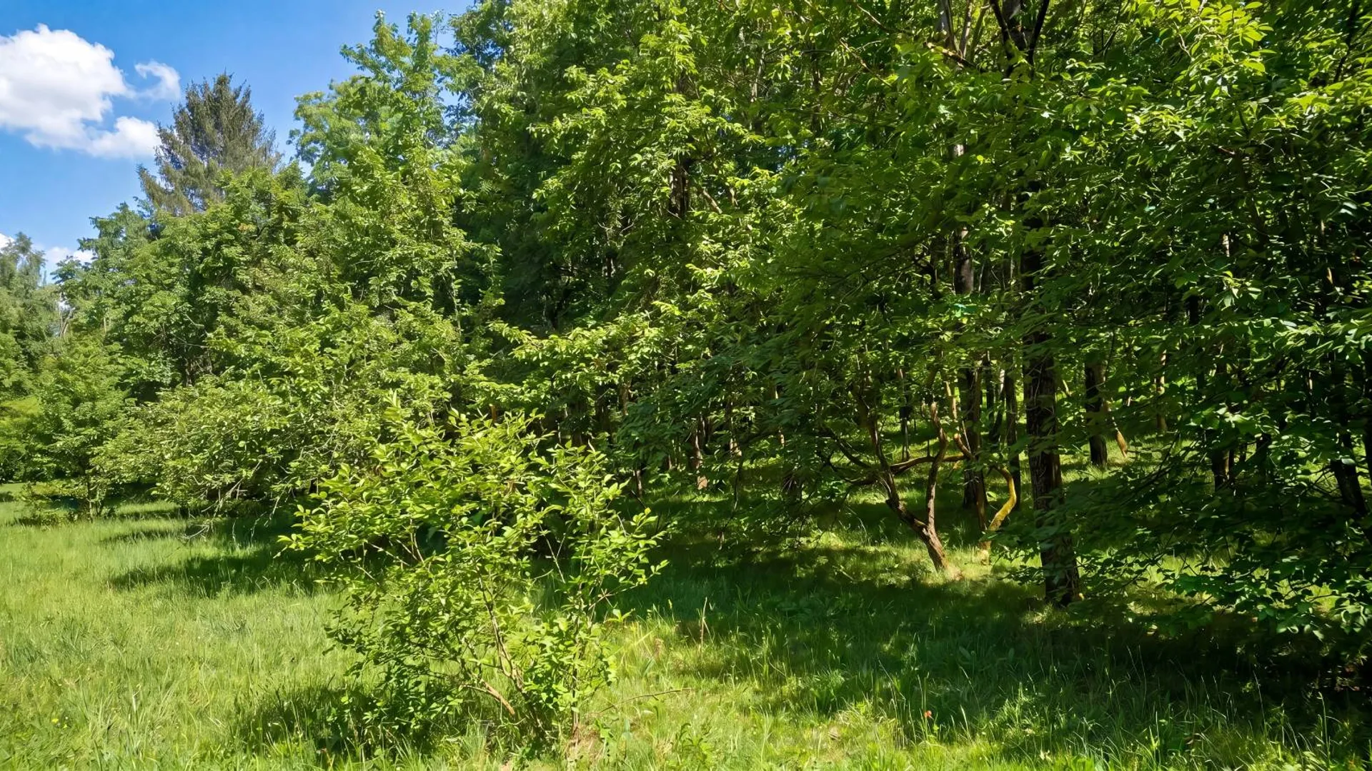 Property at L29 County Highway 45, Hartwick, NY 13807 16
