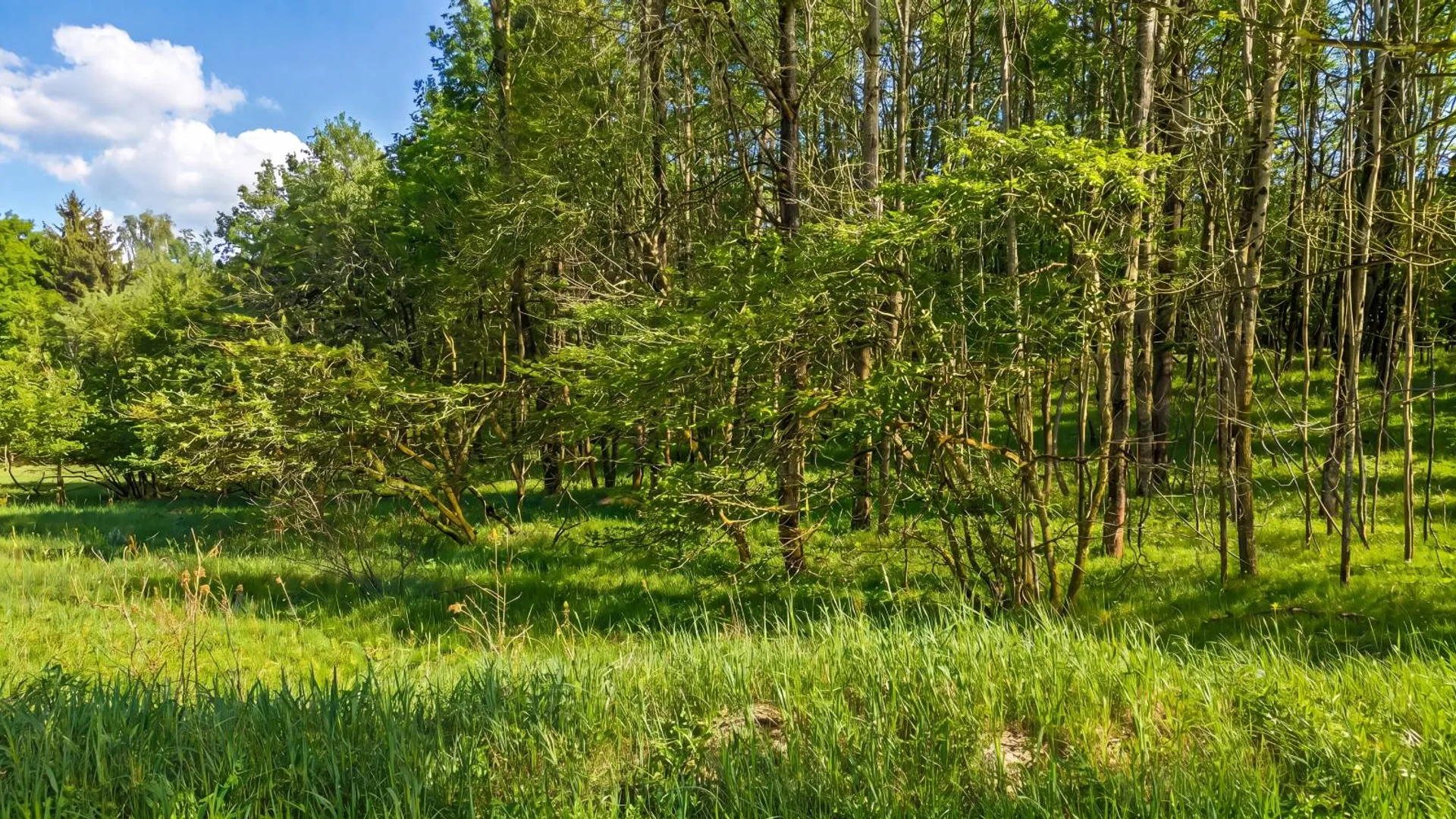 Property at L29 County Highway 45, Hartwick, NY 13807 18