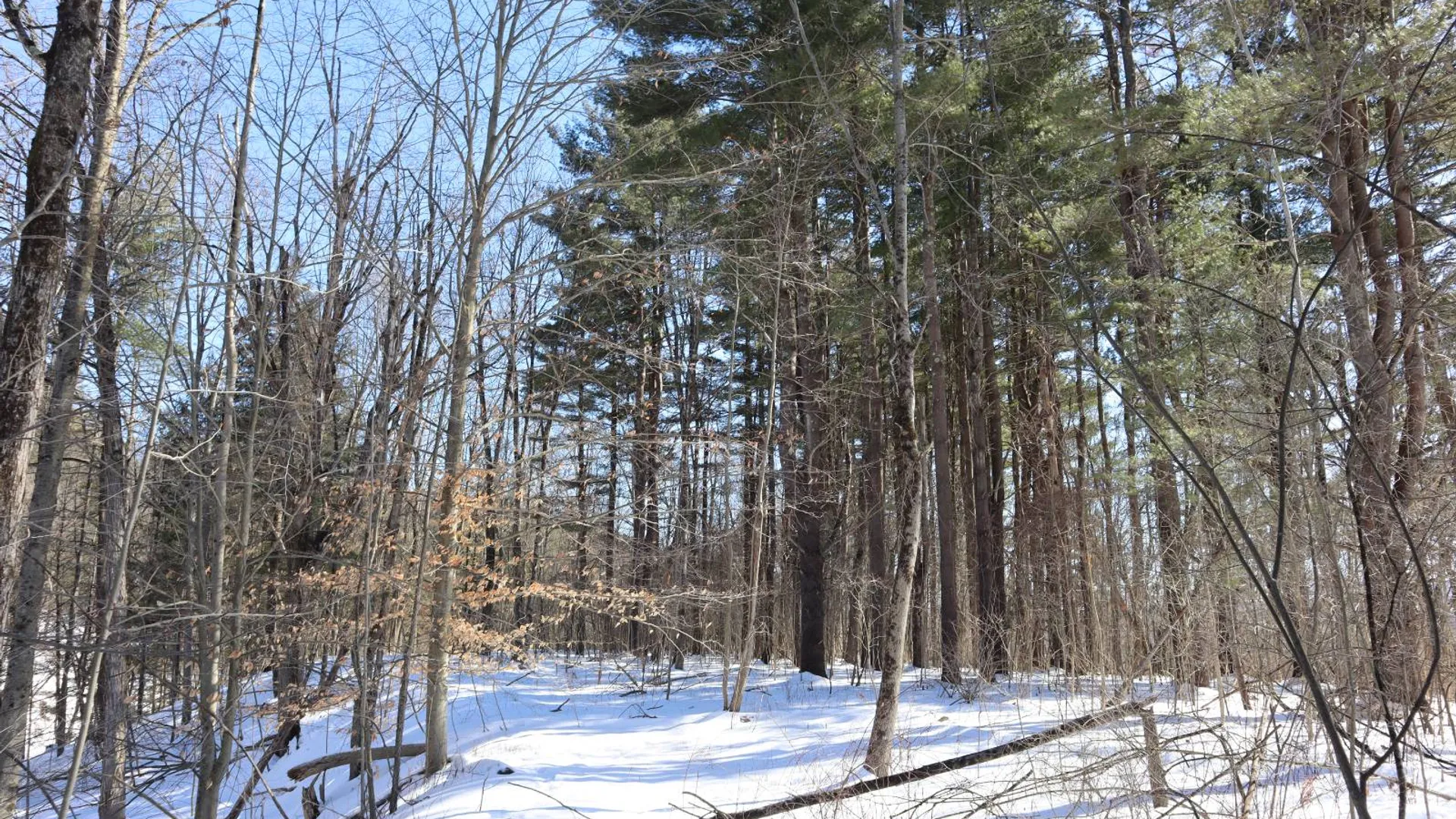 Property at 3296 Route 5, Fonda, NY 12068 26