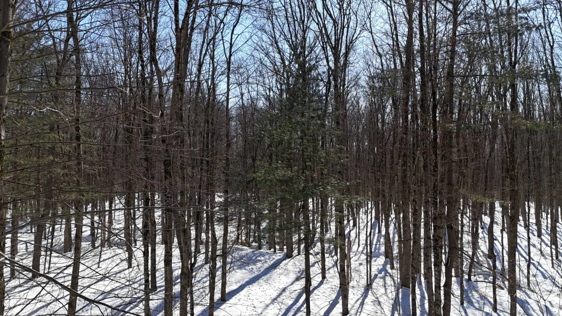 Property at 00 Florence Hill Rd, Florence, NY 13316 8
