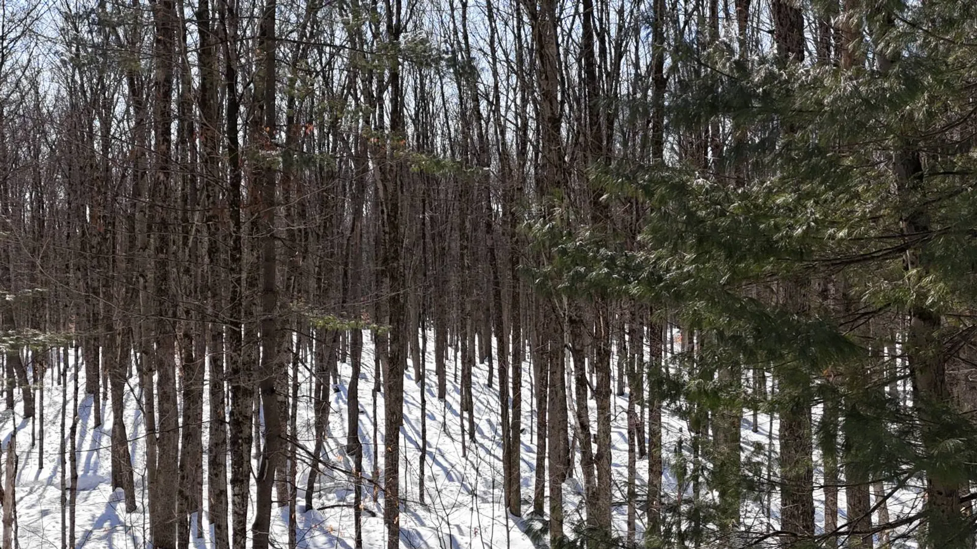 Property at 00 Florence Hill Rd, Florence, NY 13316 9