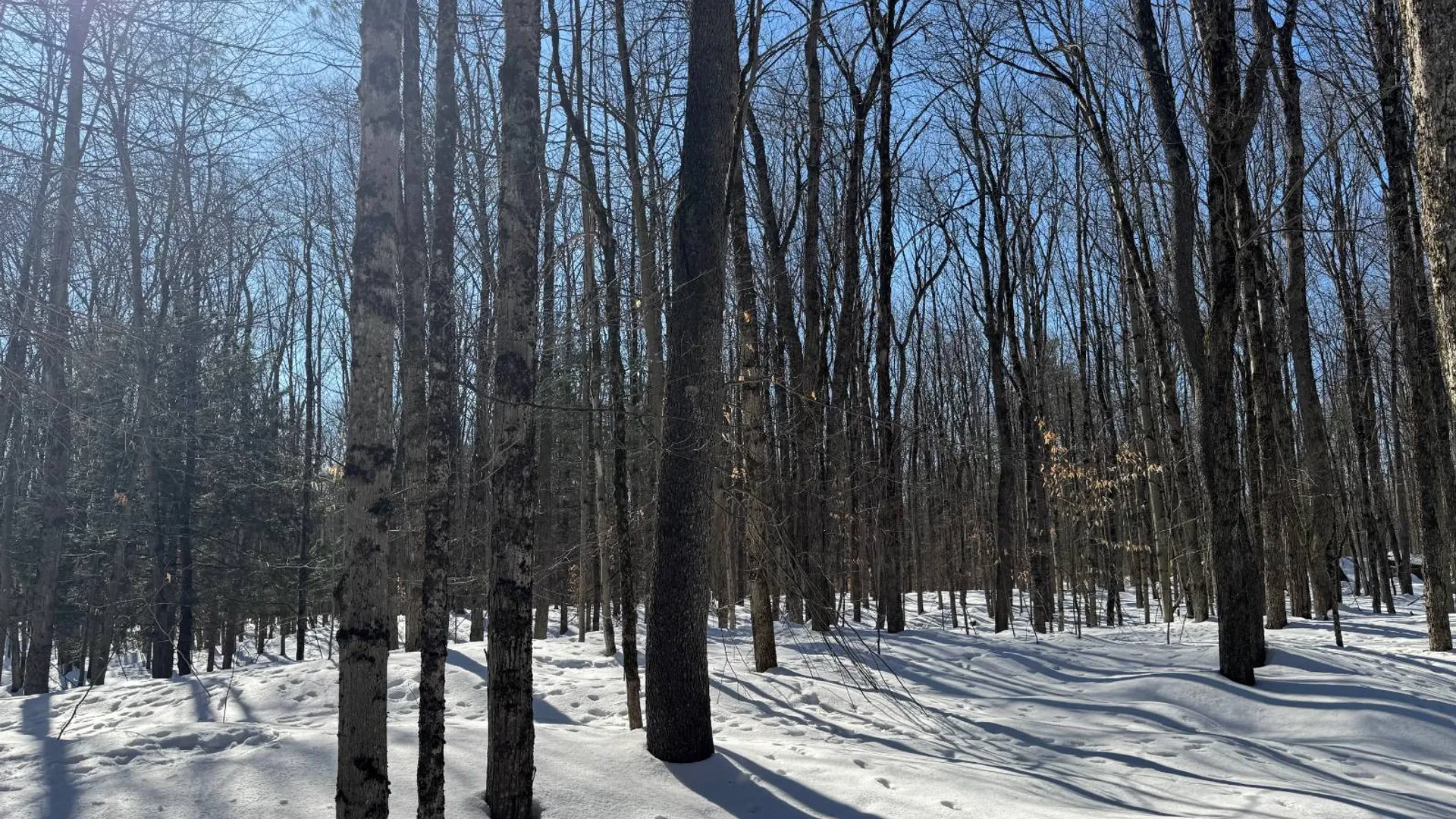 Property at 00 Florence Hill Rd, Florence, NY 13316 10