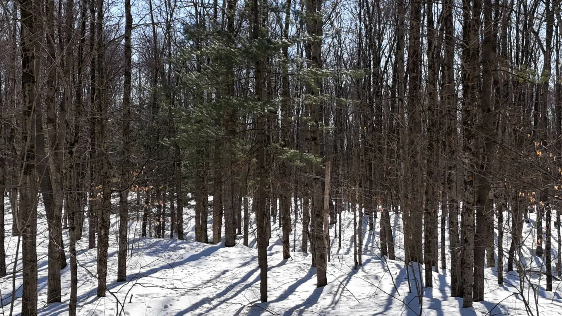Property at 00 Florence Hill Rd, Florence, NY 13316 13
