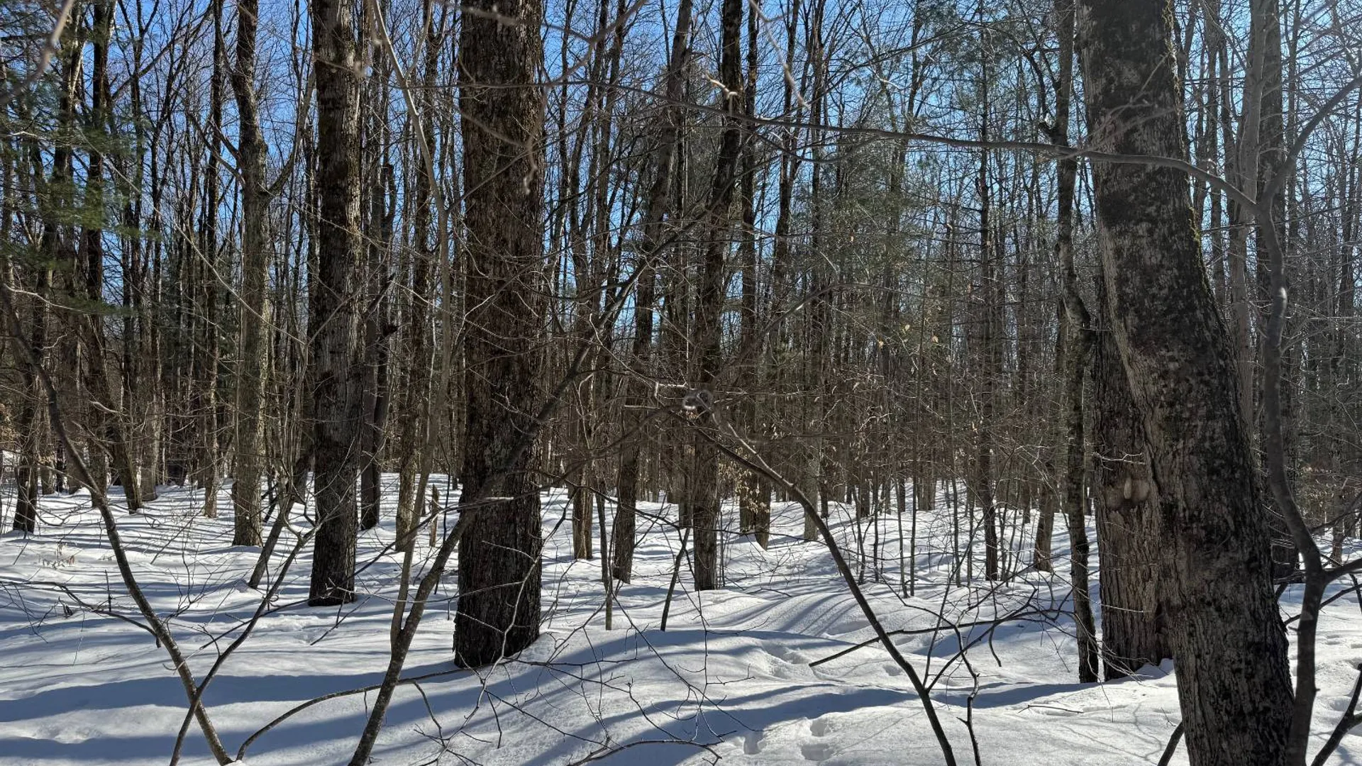 Property at 00 Florence Hill Rd, Florence, NY 13316 14