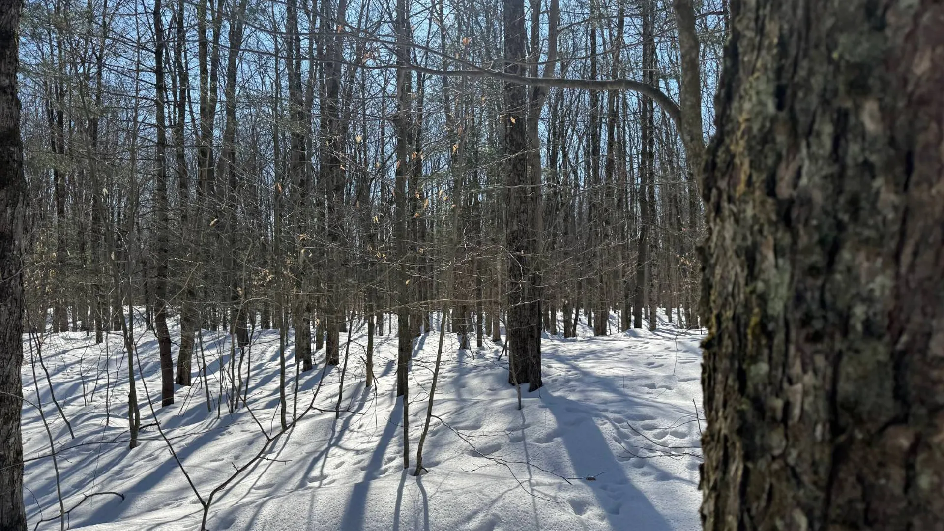 Property at 00 Florence Hill Rd, Florence, NY 13316 17