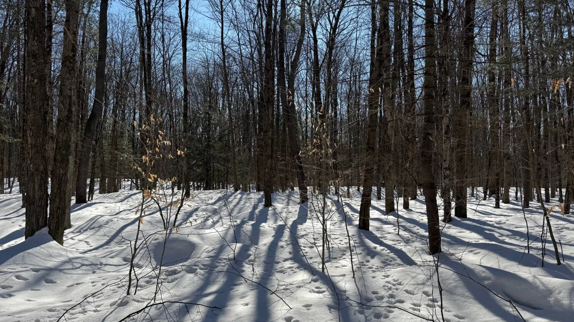 Property at 00 Florence Hill Rd, Florence, NY 13316 19