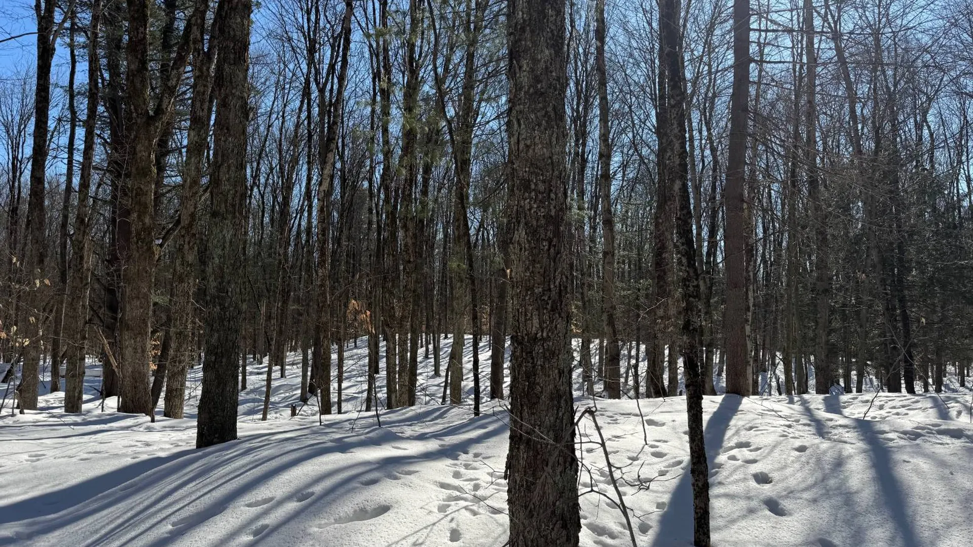 Property at 00 Florence Hill Rd, Florence, NY 13316 21