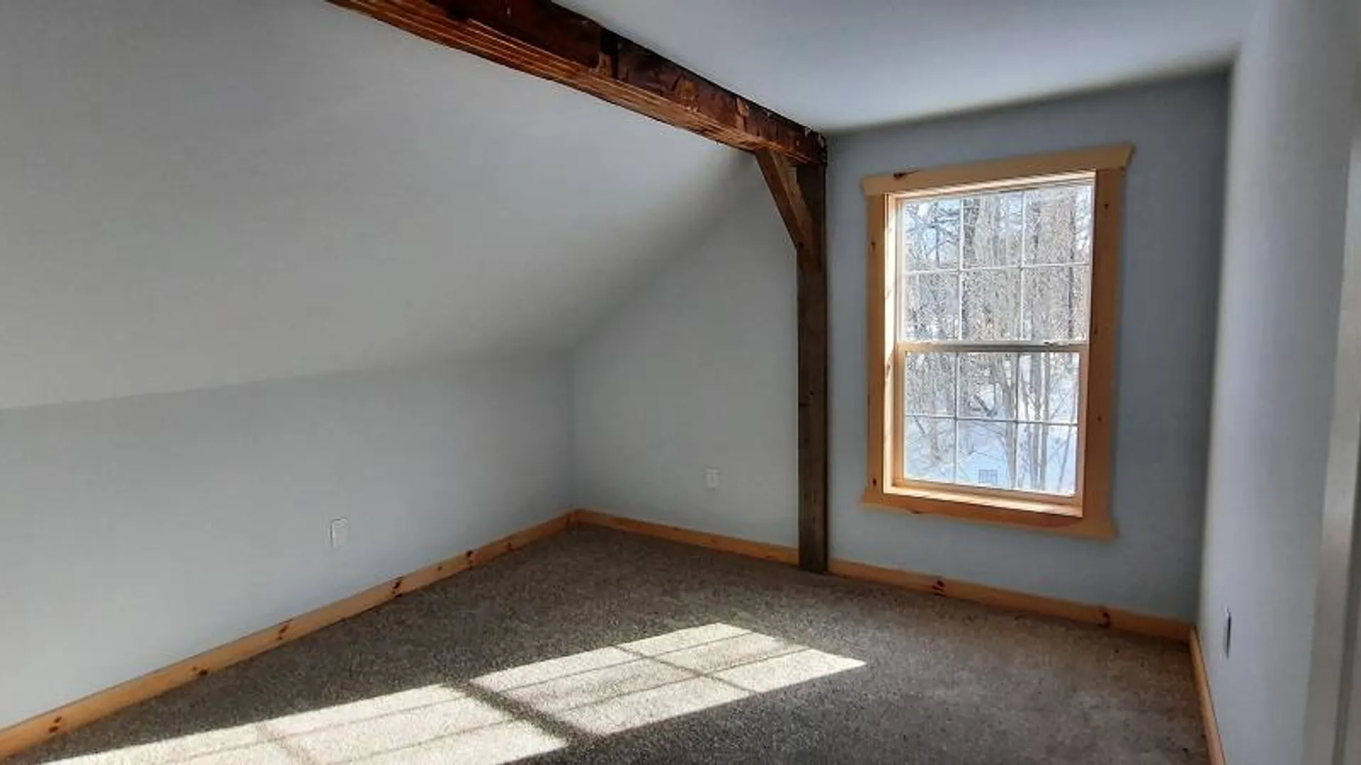 Property at 119 Brussell Street, Wells, NY 12190 21