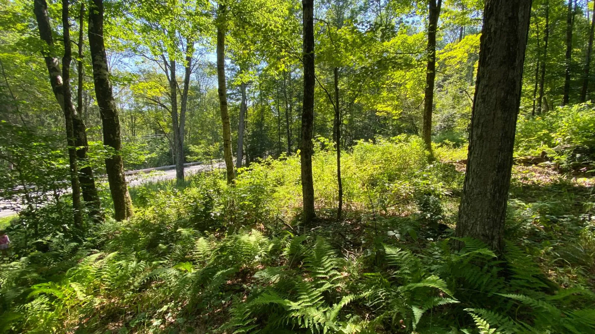 Property at 00 County Hwy 14, East Meredith, NY 13757 10
