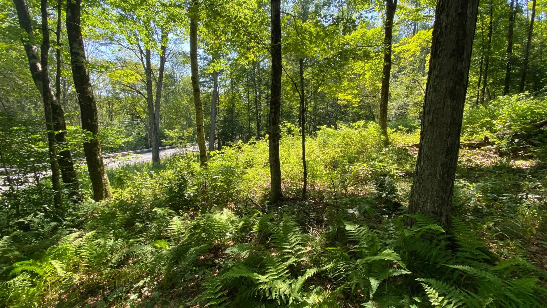 Property at 00 County Hwy 14, East Meredith, NY 13757 11