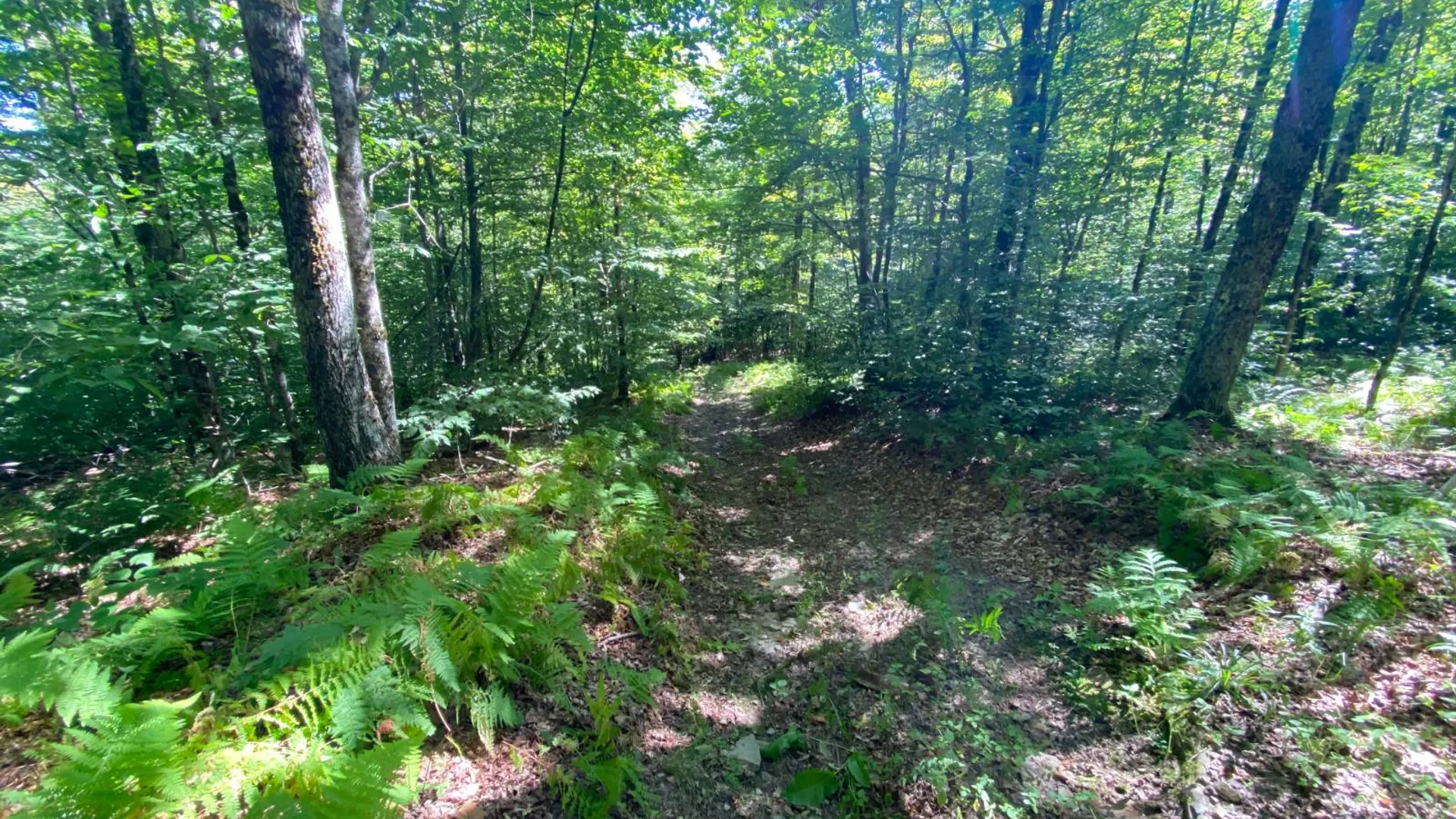 Property at 00 County Hwy 14, East Meredith, NY 13757 12