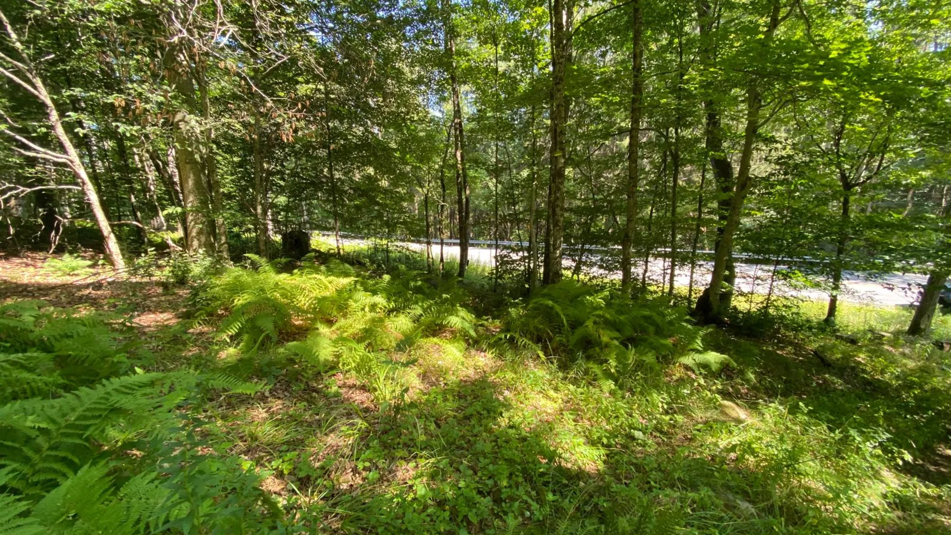 Property at 00 County Hwy 14, East Meredith, NY 13757 3