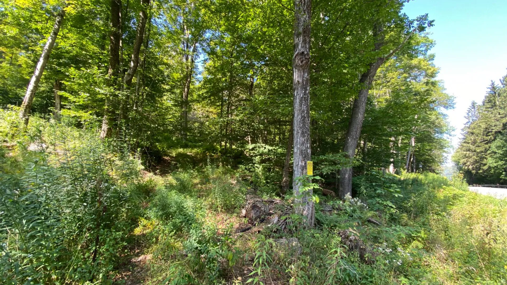 Property at 00 County Hwy 14, East Meredith, NY 13757 4