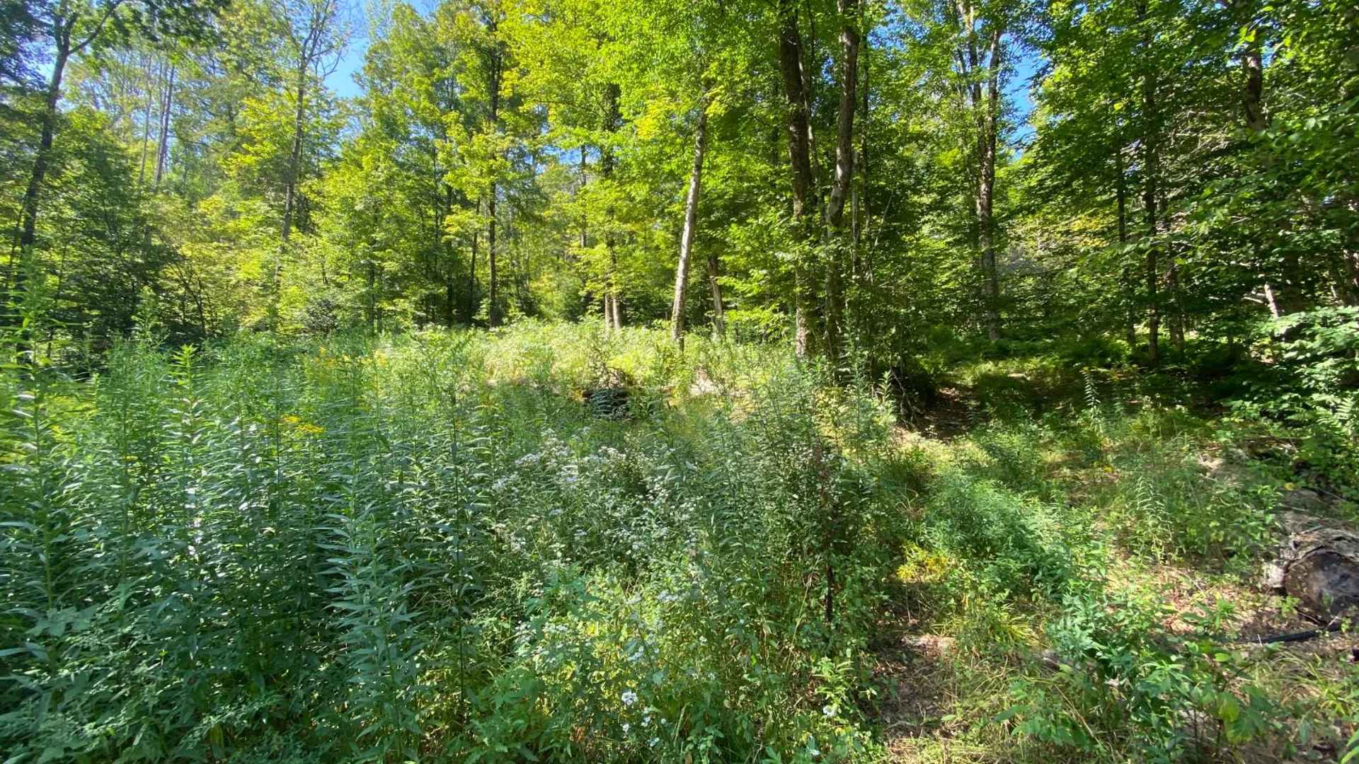 Property at 00 County Hwy 14, East Meredith, NY 13757 6