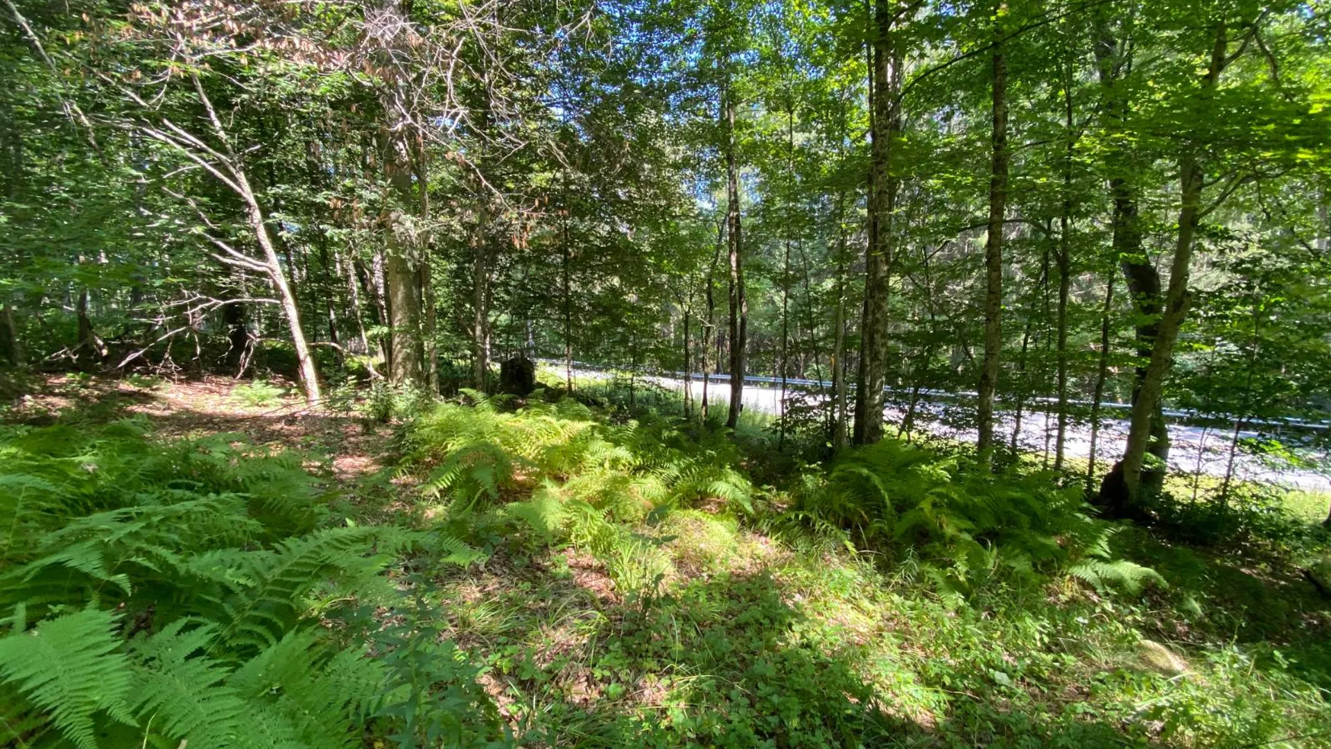 Property at 00 County Hwy 14, East Meredith, NY 13757 9