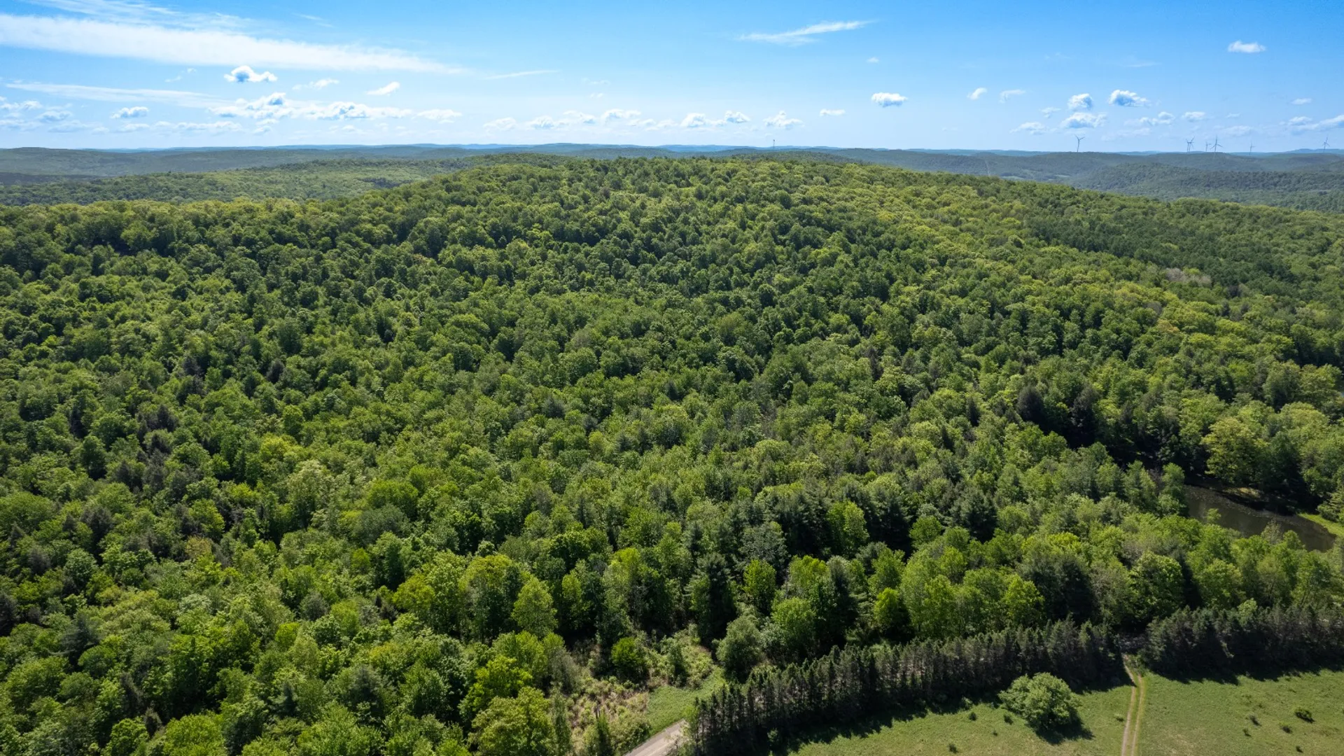 Property at 154 Walker Rd, Nineveh, NY 13813 2