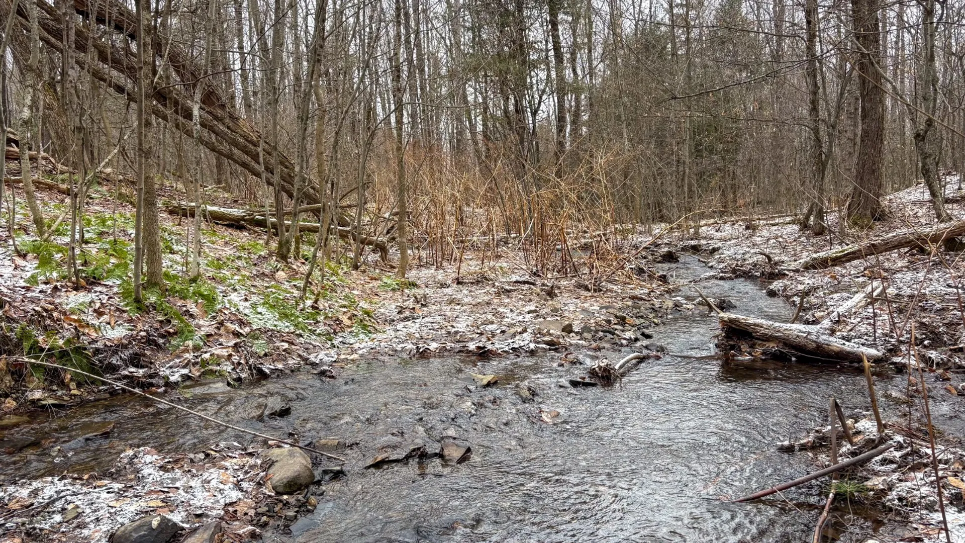 Property at 154 Walker Rd, Nineveh, NY 13813 12