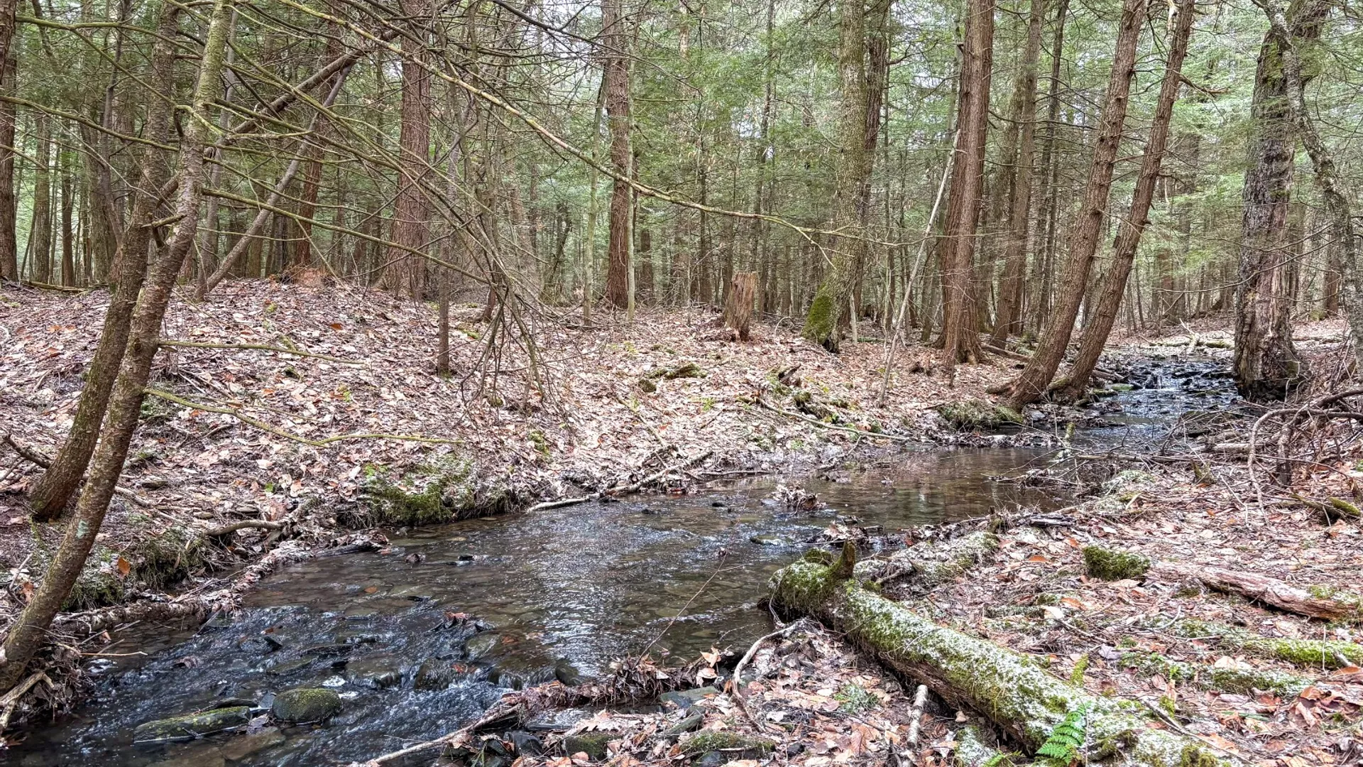 Property at 154 Walker Rd, Nineveh, NY 13813 10