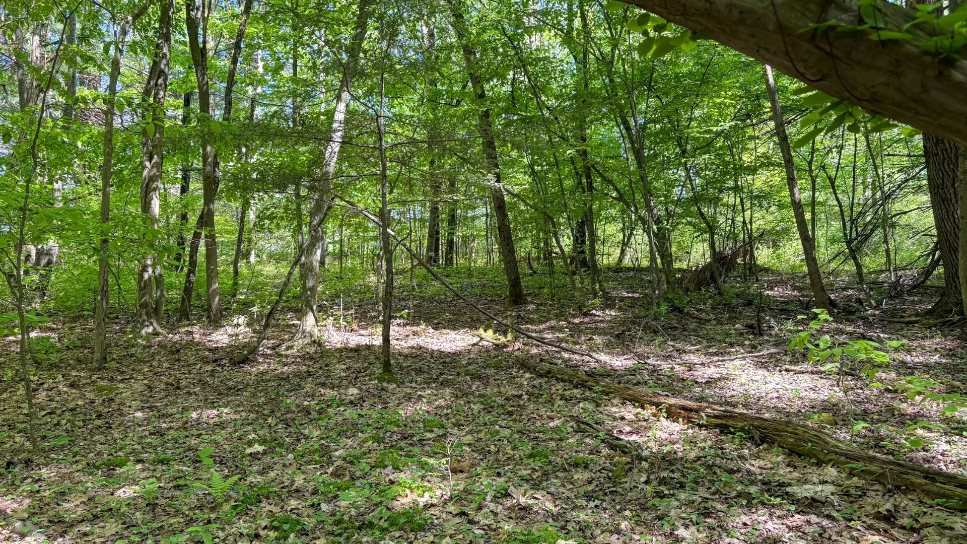 Property at 154 Walker Rd, Nineveh, NY 13813 18