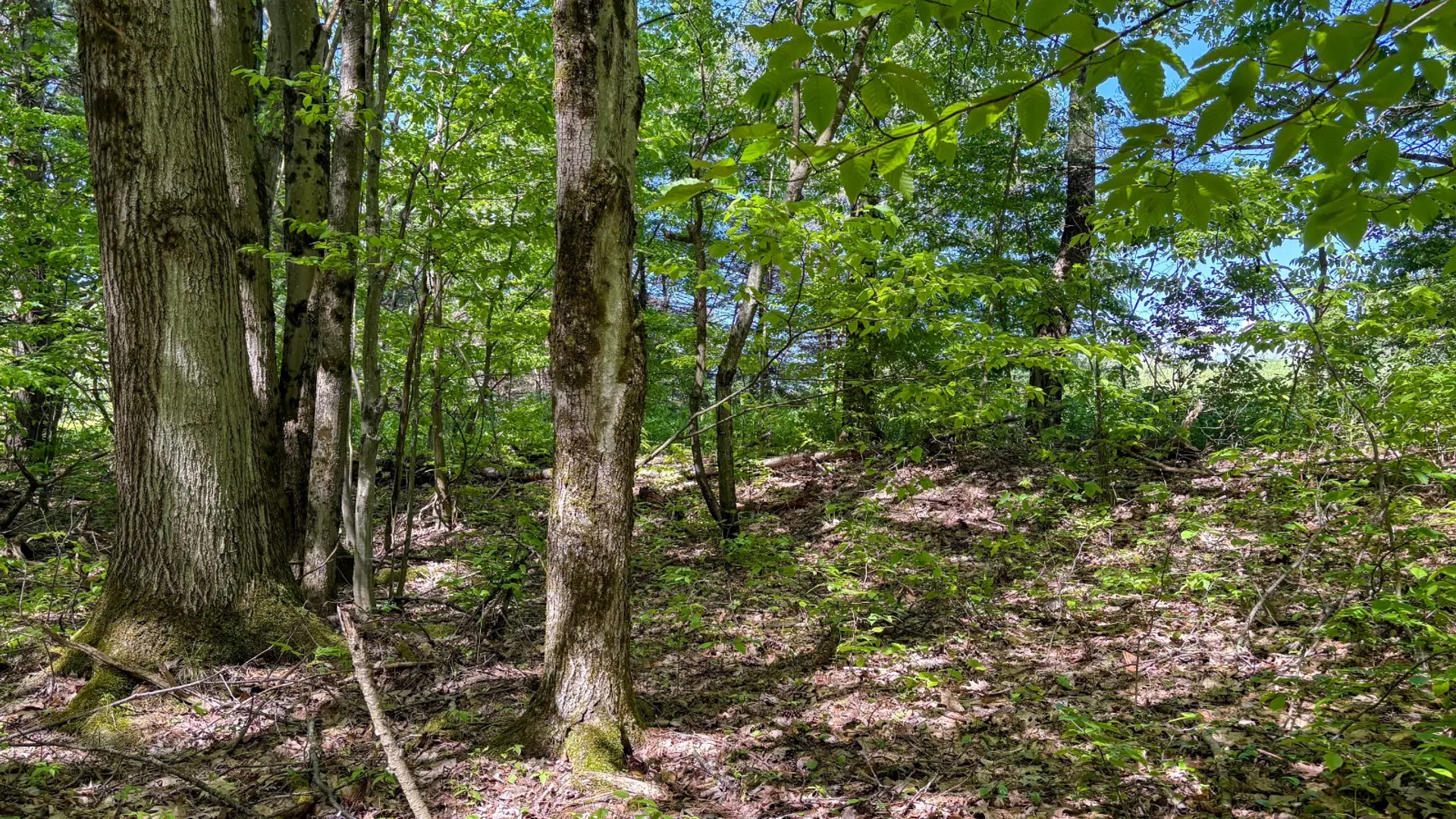 Property at 154 Walker Rd, Nineveh, NY 13813 20