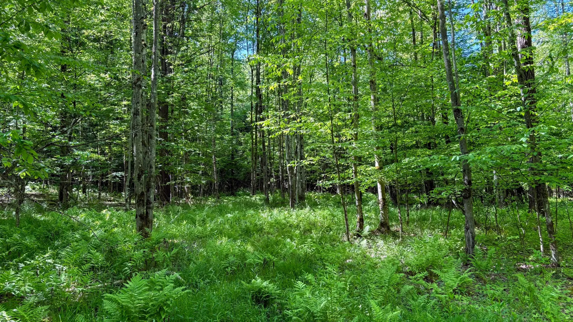 Property at 154 Walker Rd, Nineveh, NY 13813 21