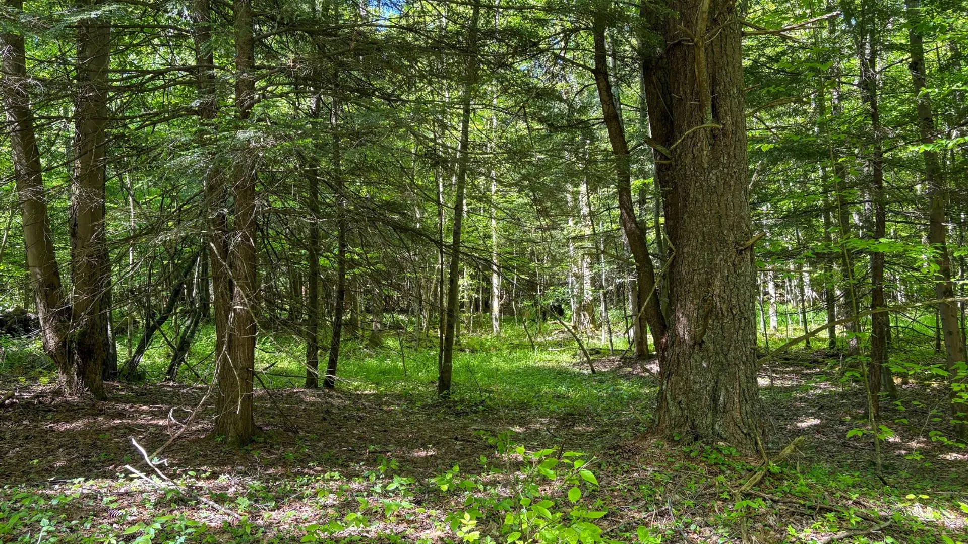 Property at 154 Walker Rd, Nineveh, NY 13813 27