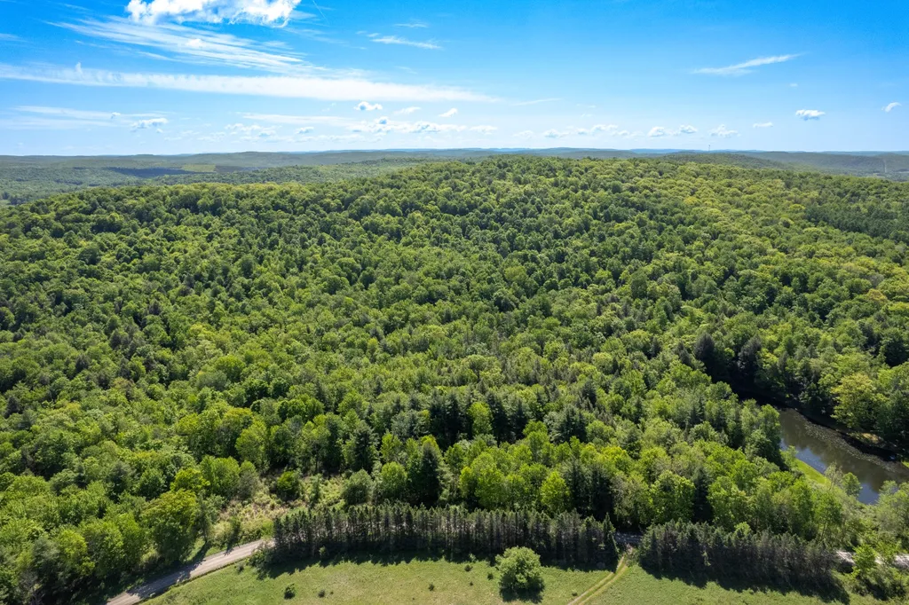 Property at 154 Walker Rd, Nineveh, NY 13813