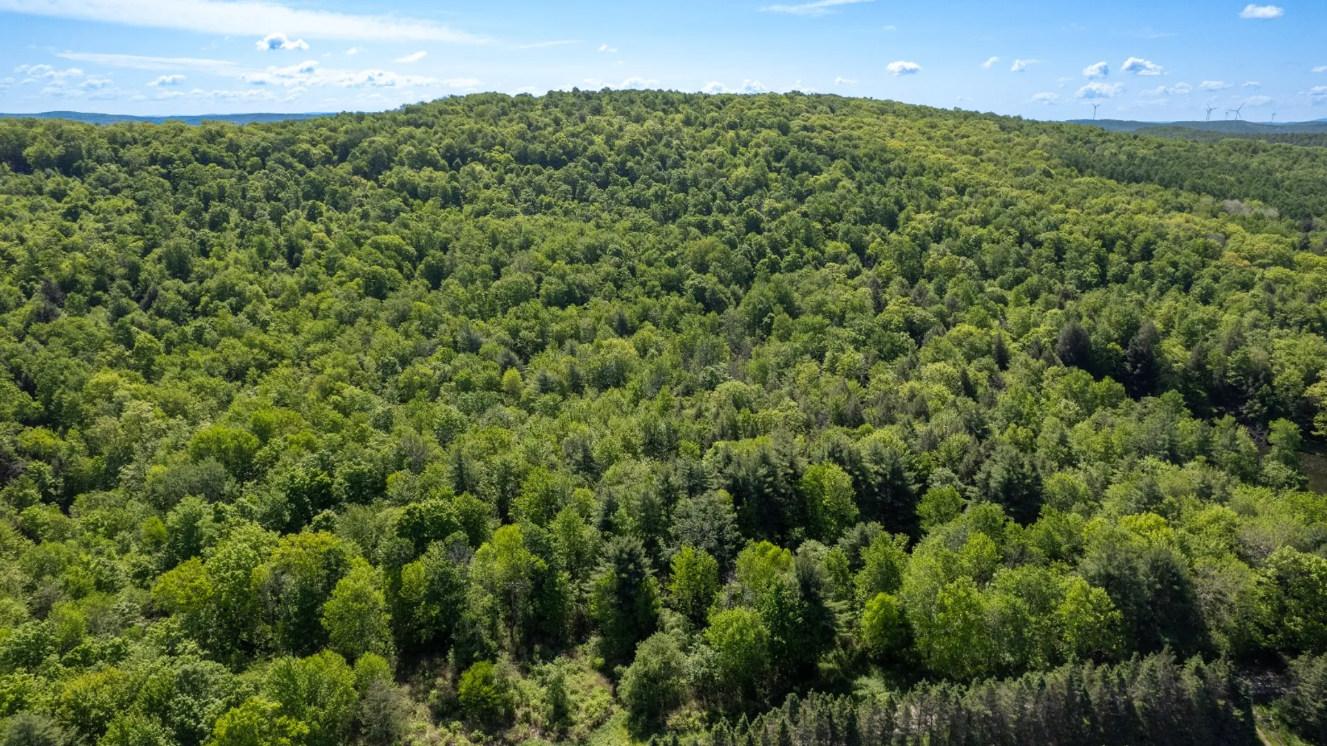 Property at 154 Walker Rd, Nineveh, NY 13813 3