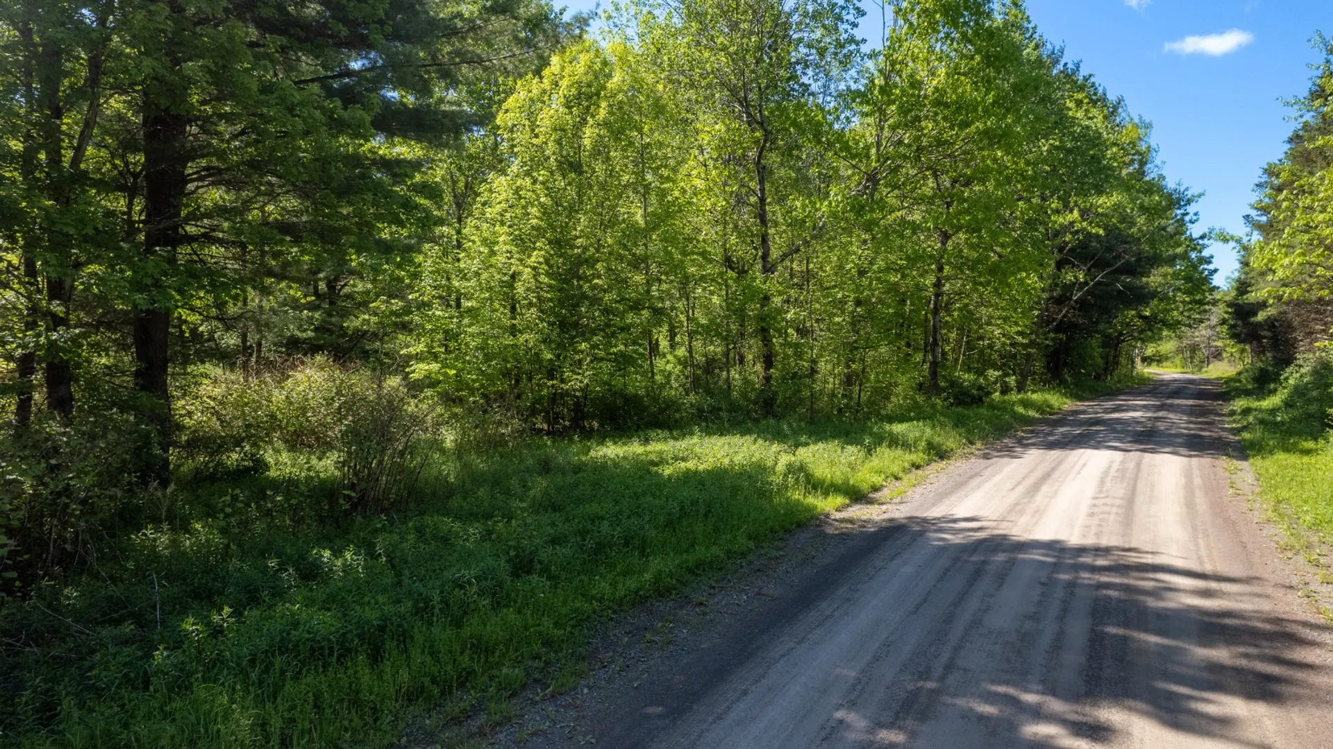 Property at 154 Walker Rd, Nineveh, NY 13813 28