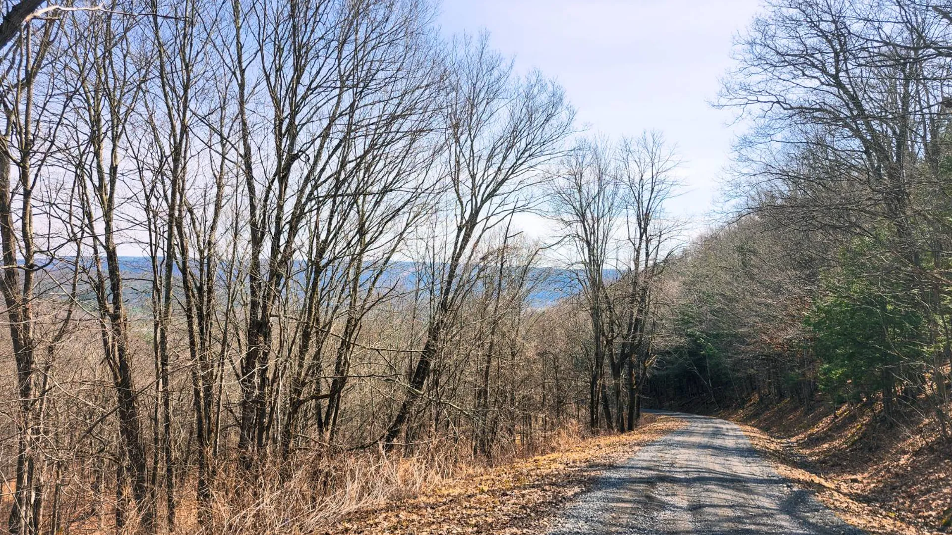 Property at 525 Meeghan Rd, Stamford, NY 12167 10