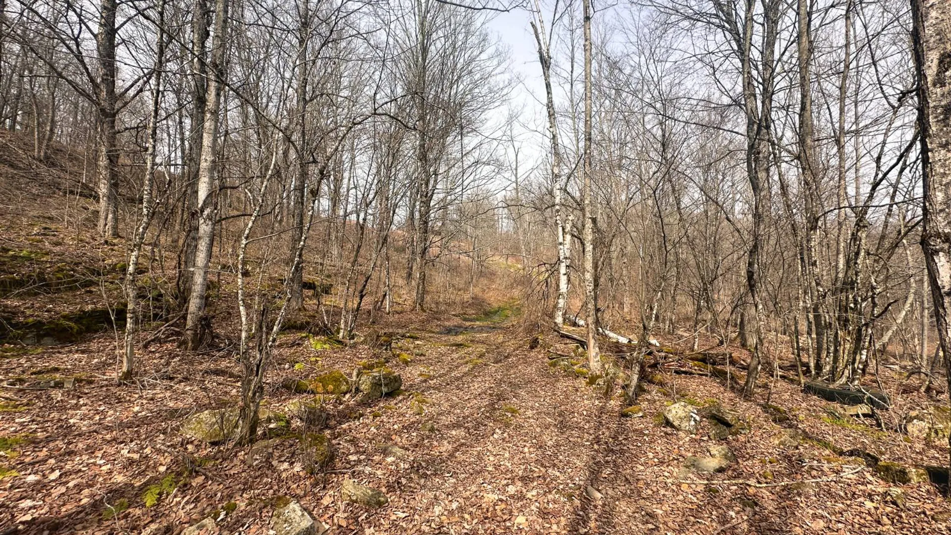 Property at 525 Meeghan Rd, Stamford, NY 12167 32
