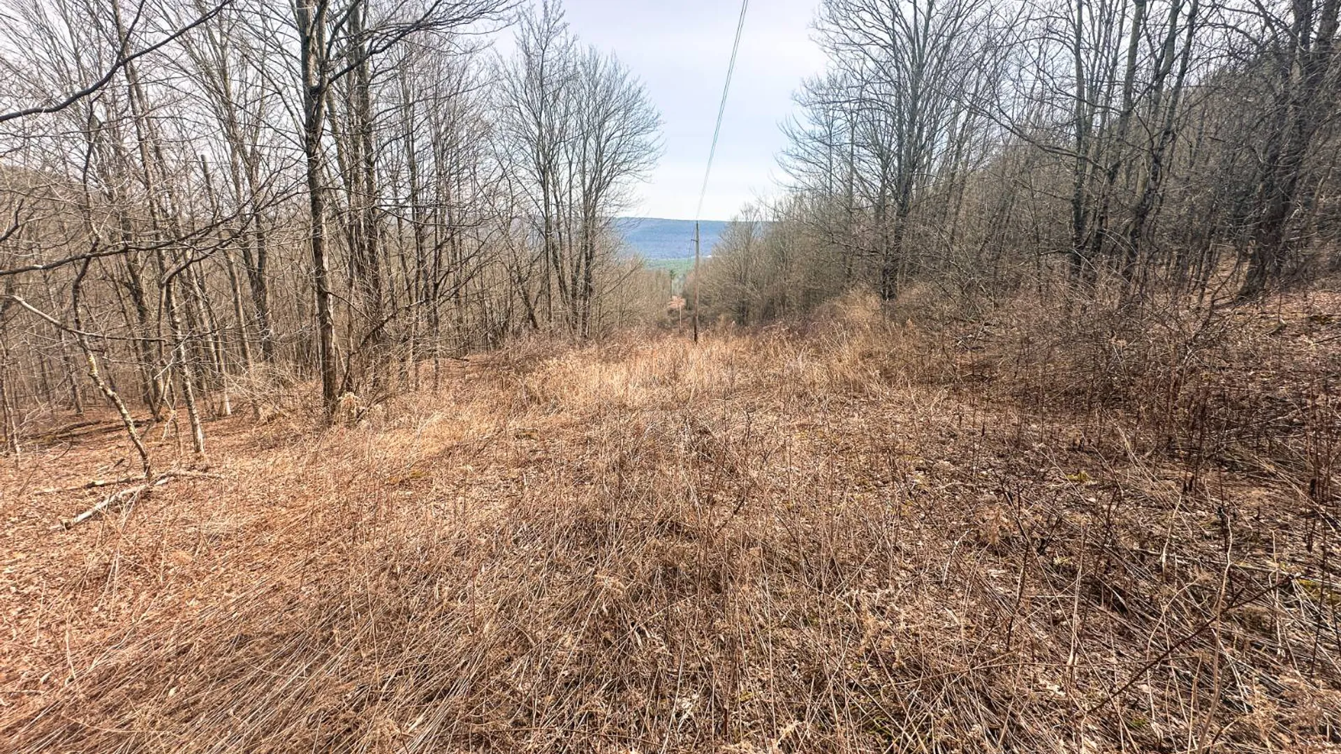 Property at 525 Meeghan Rd, Stamford, NY 12167 33