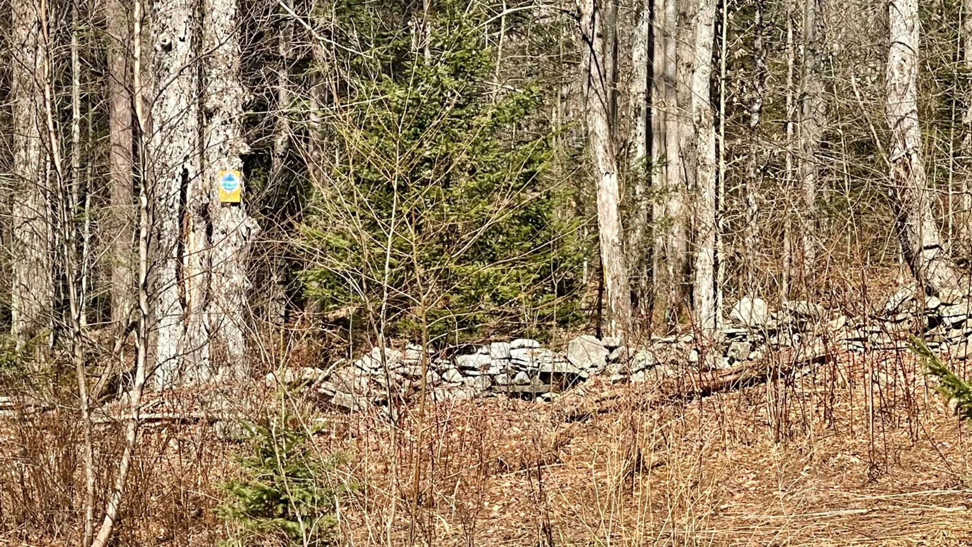 Property at 418 Town Line Rd, Mc Donough, NY 13801 15