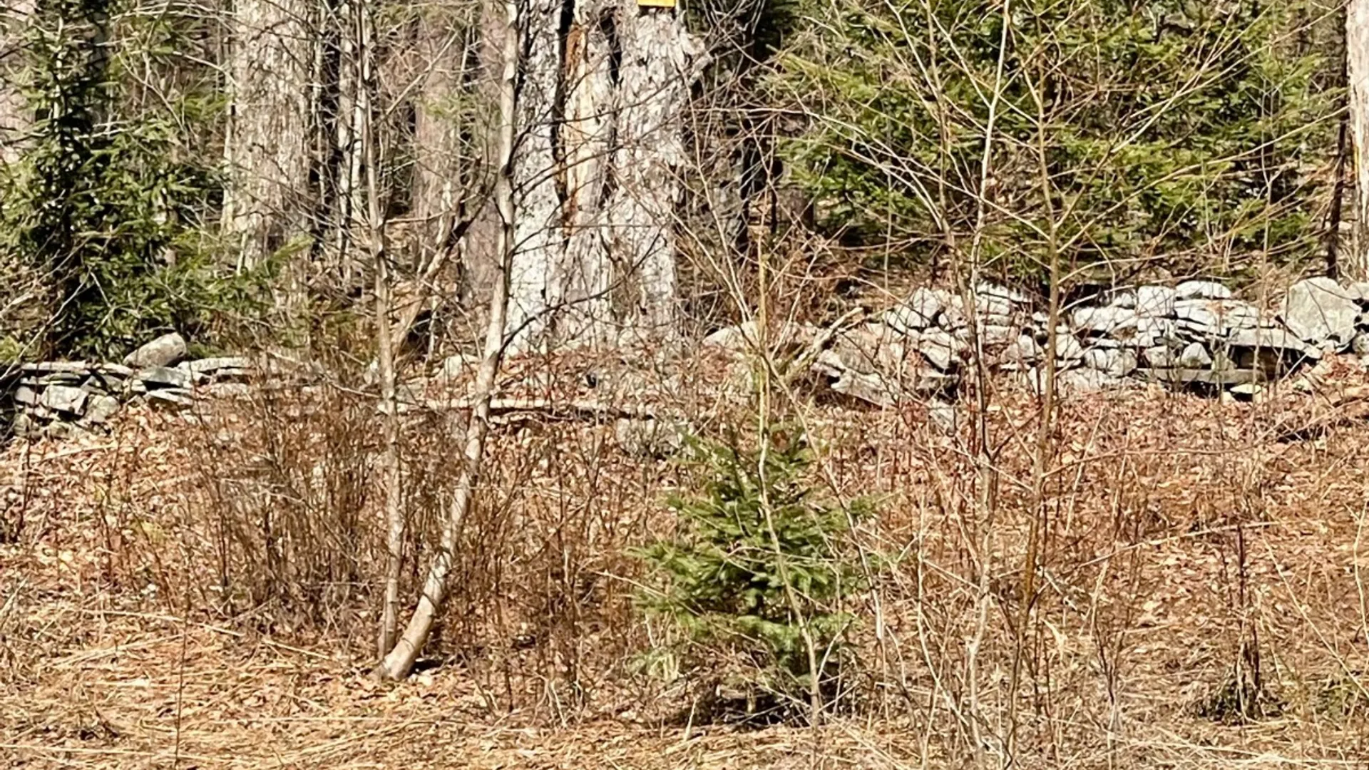 Property at 418 Town Line Rd, Mc Donough, NY 13801 13