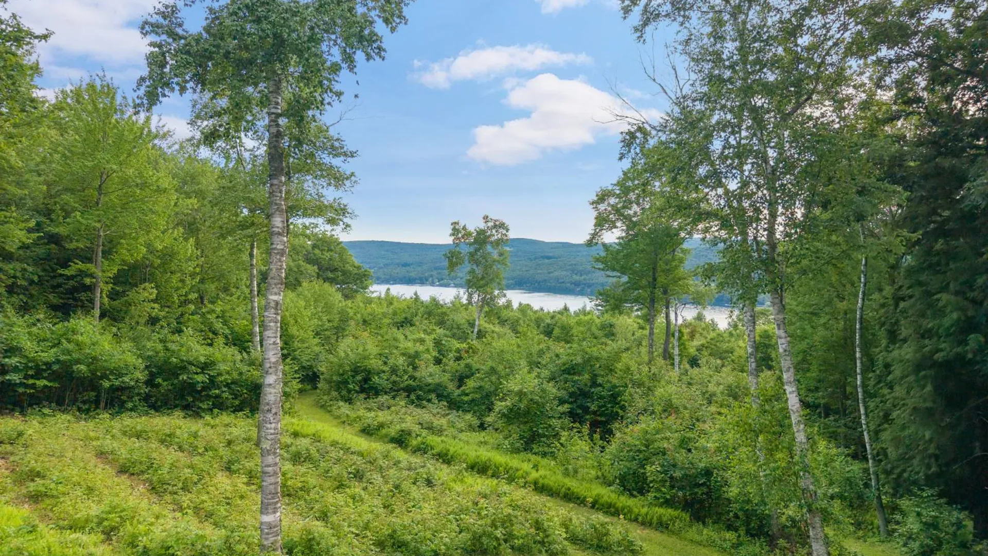 Property at 276 Van Yahres Road, Cooperstown, NY 13326 82