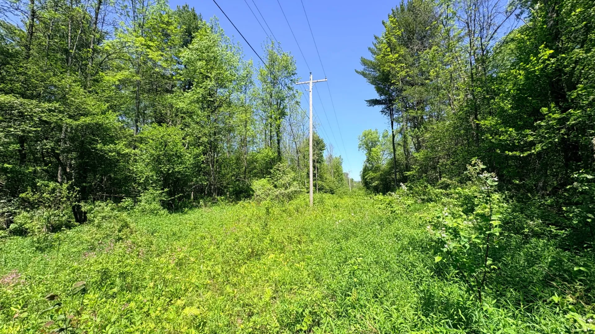Property at 0 Keating Road, Fly Creek, NY 13337 5