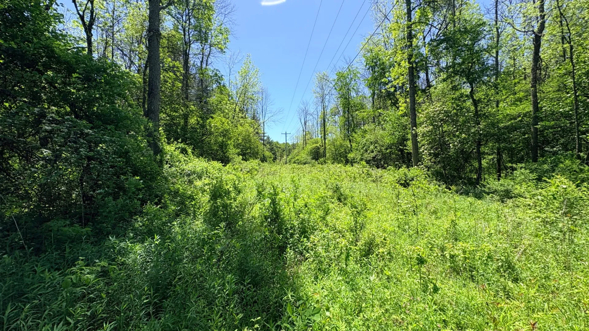 Property at 0 Keating Road, Fly Creek, NY 13337 6