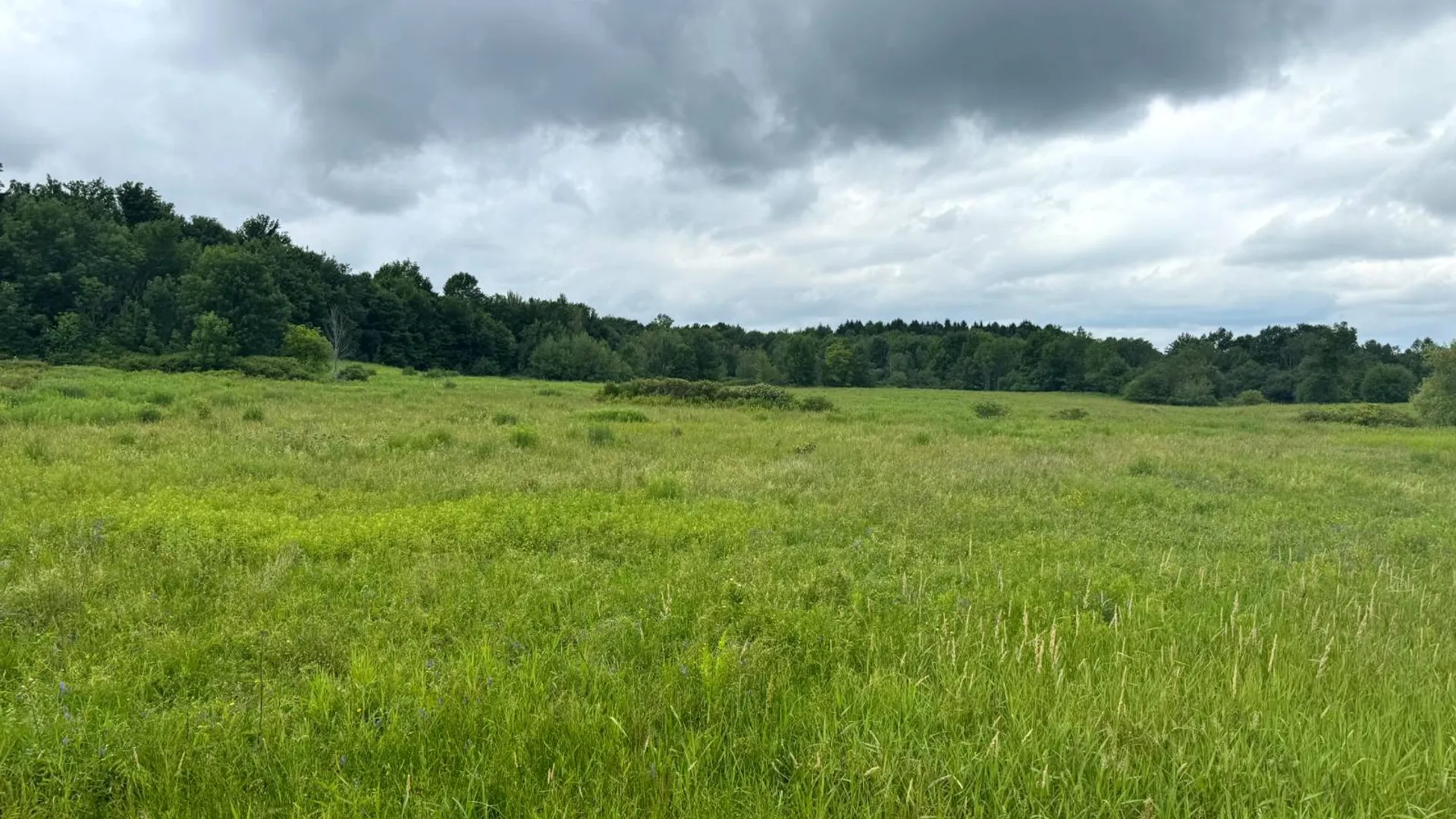 Property at 1.3 County Route 24, Antwerp, NY 13608 4