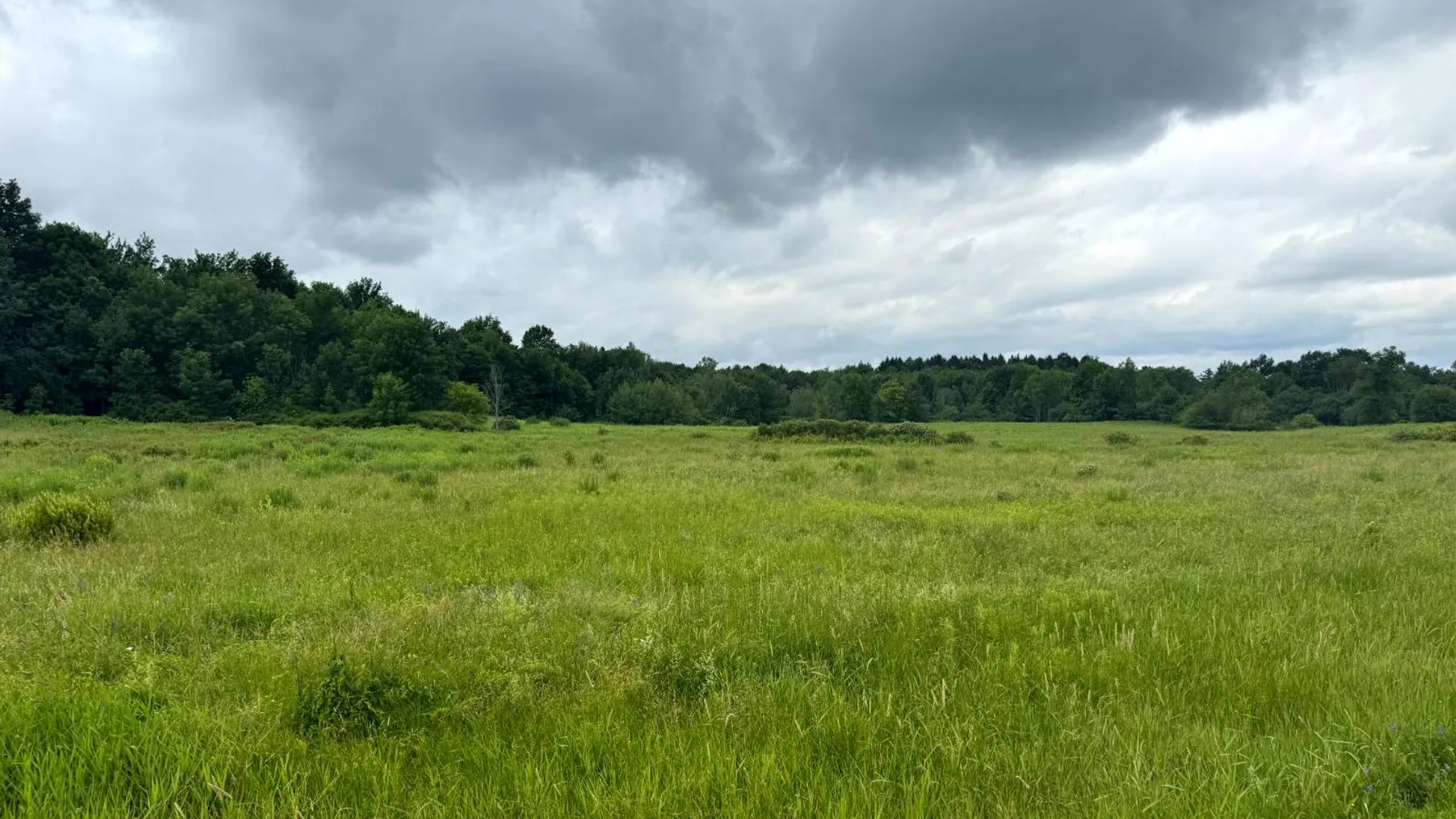 Property at 1.3 County Route 24, Antwerp, NY 13608 8