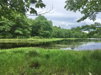 Property at (17.-1-10.7 & 91 Horseshoe Lake Rd, Bethel, NY 12720