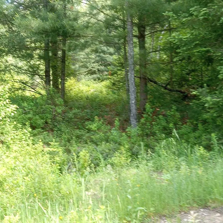 Property at 00 Crystal Lake Rd, Stratford, NY 13470