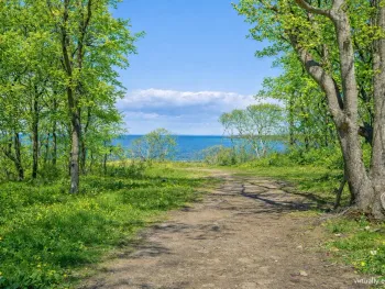 Property at 6 Fort Pond Lane, Montauk, NY 11954