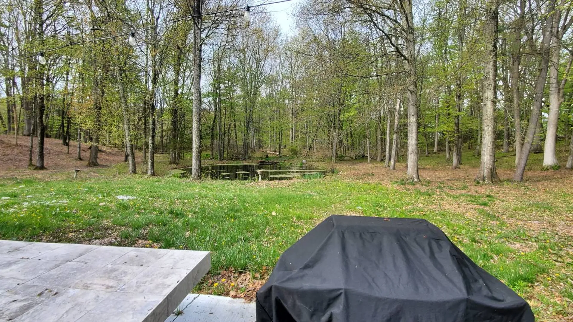 Property at 5 Hauns Hl, Saugerties, NY 12477 41