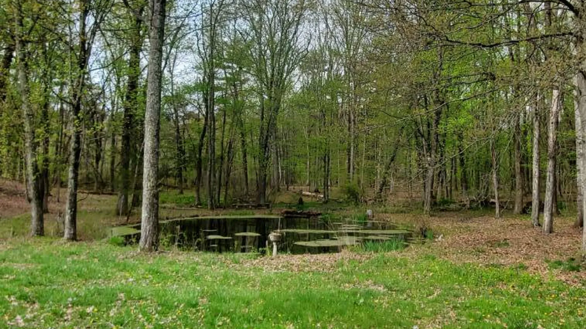 Property at 5 Hauns Hl, Saugerties, NY 12477 42