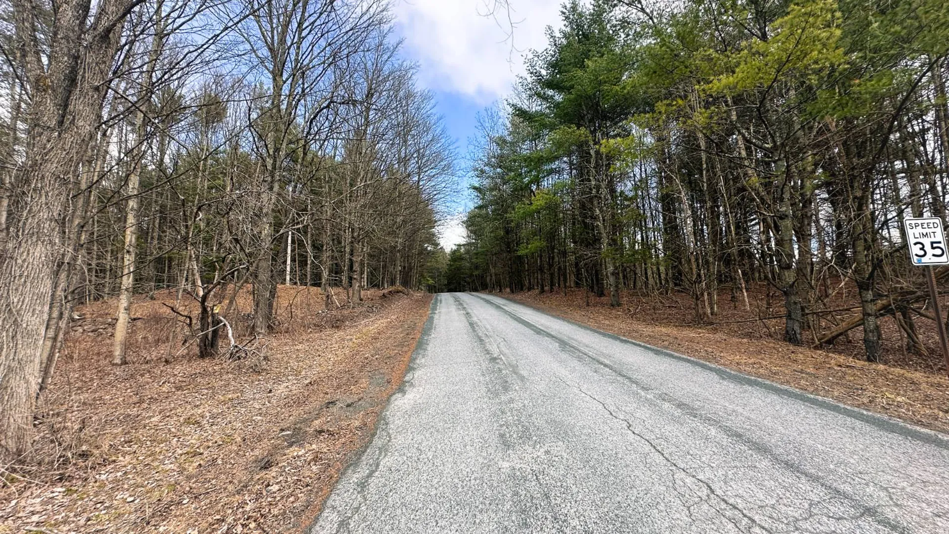 Property at 00WP#2 Drake Hill Rd, Freehold, NY 12431 6