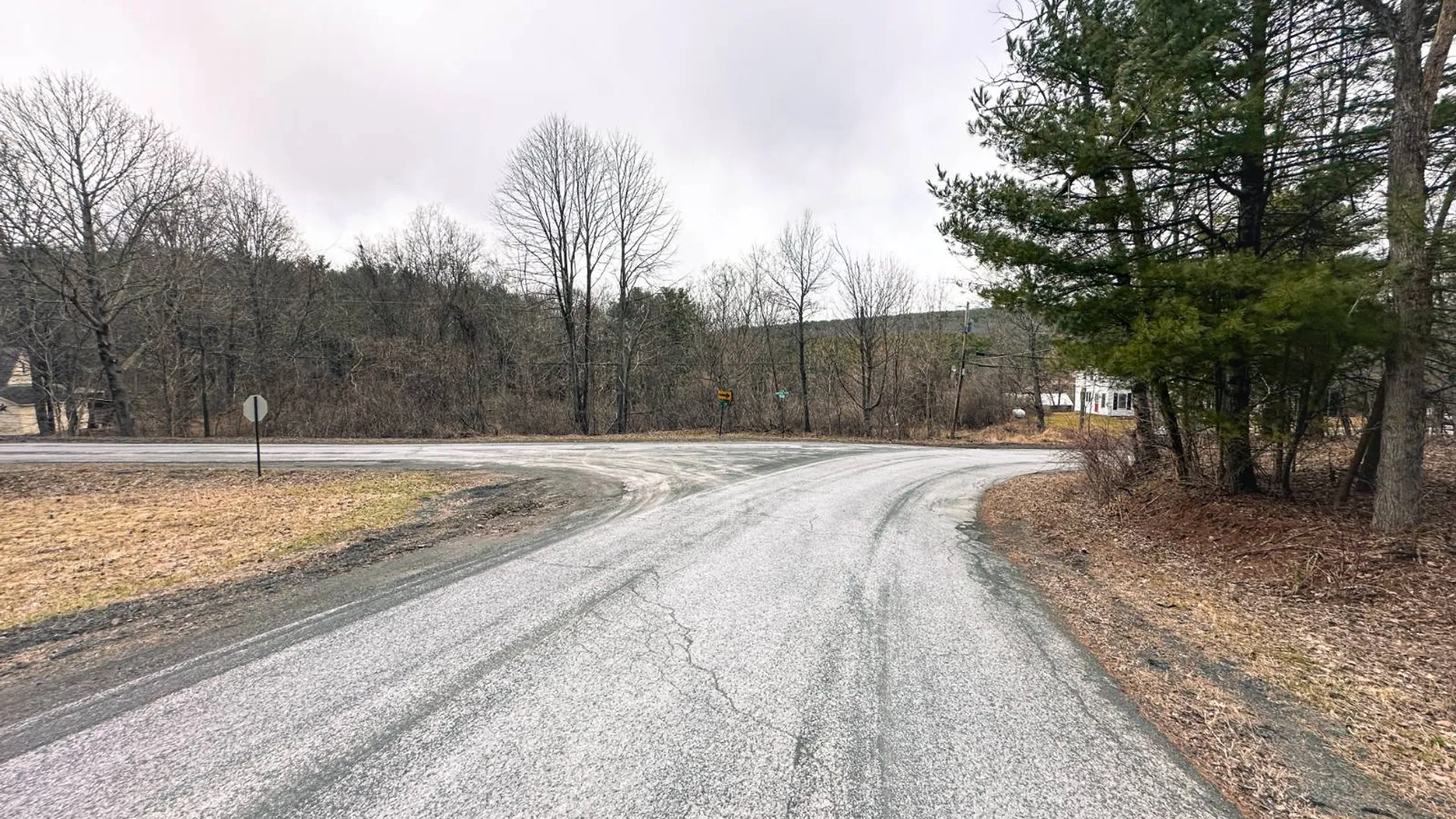 Property at 00WP#2 Drake Hill Rd, Freehold, NY 12431 7