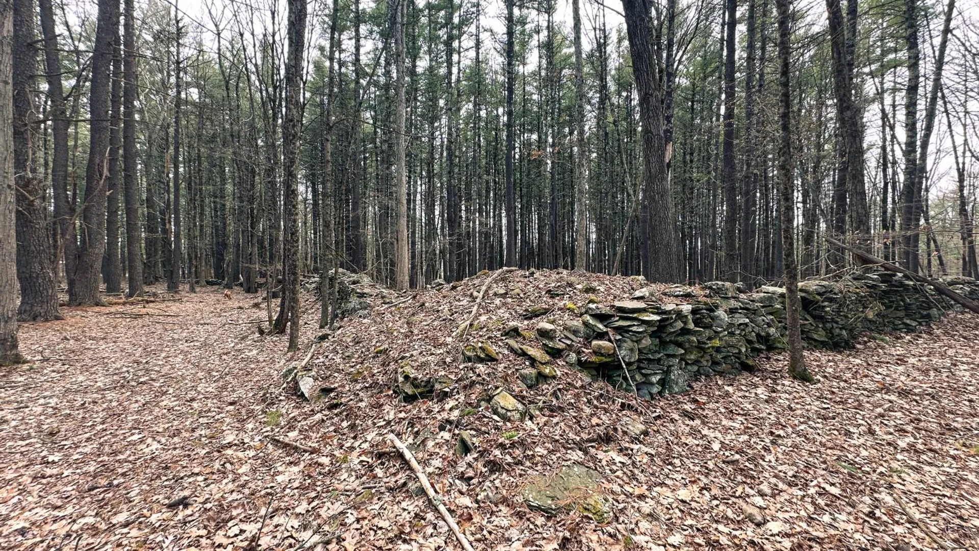 Property at 00WP#2 Drake Hill Rd, Freehold, NY 12431 9