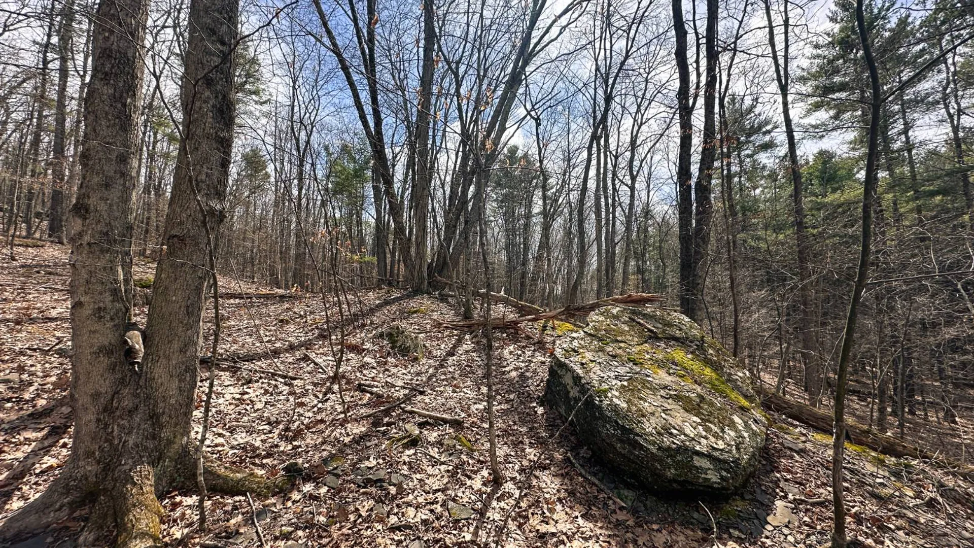 Property at 00WP#2 Drake Hill Rd, Freehold, NY 12431 10