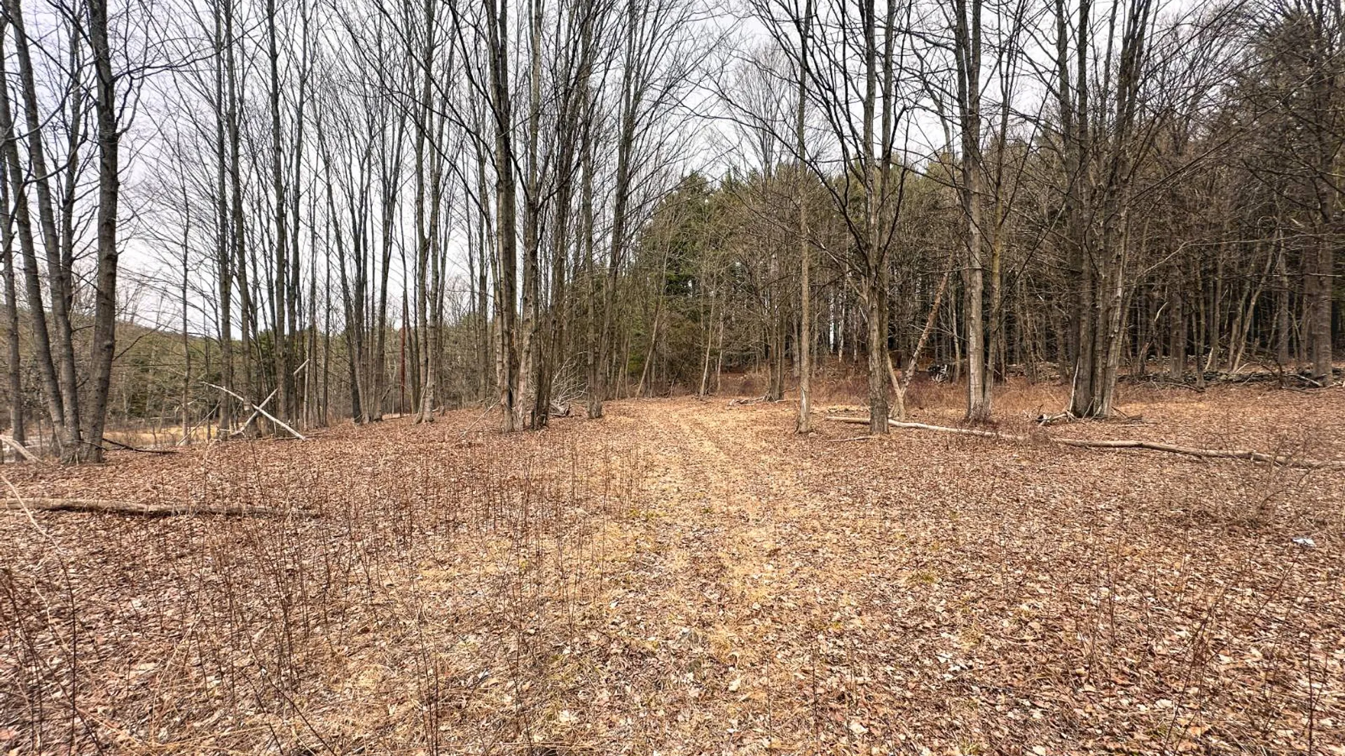 Property at 00WP#2 Drake Hill Rd, Freehold, NY 12431 13