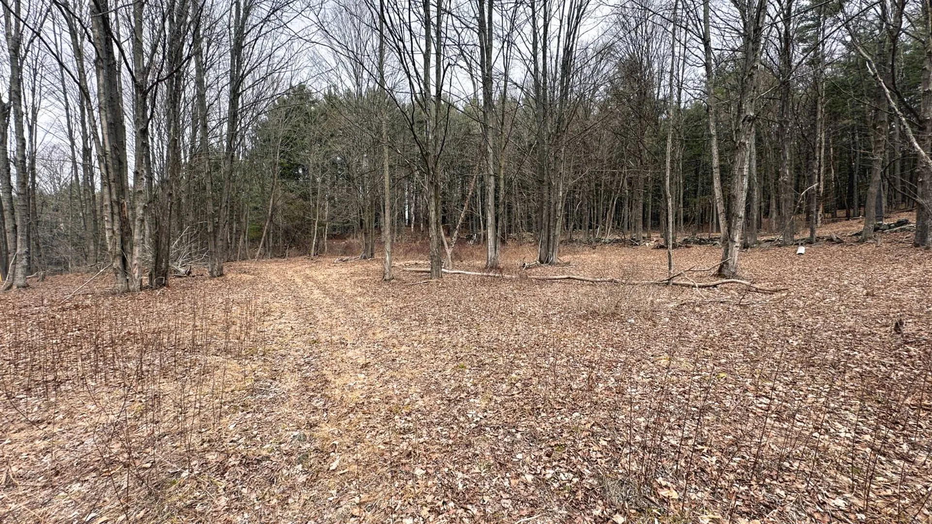 Property at 00WP#2 Drake Hill Rd, Freehold, NY 12431 14